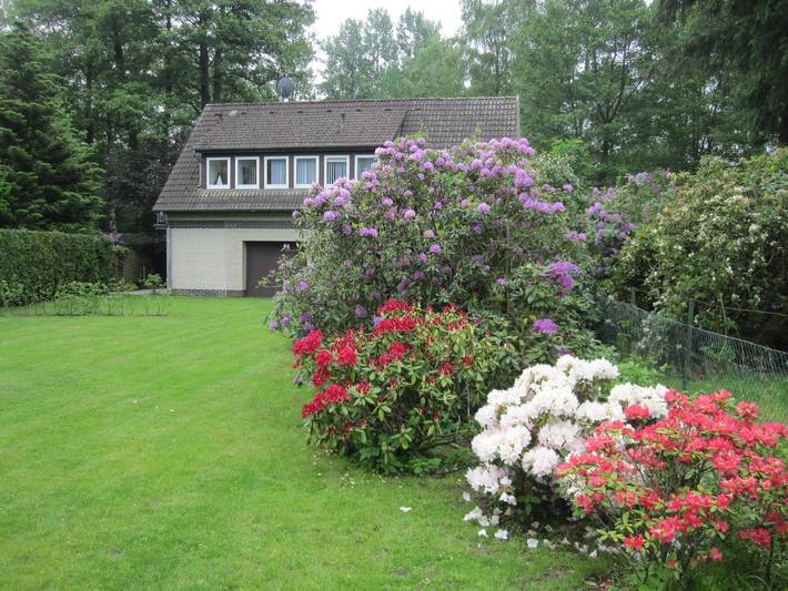 Ferienwohnung für 4 Personen, mit Balkon und Garten am Steinhuder Meer - 2