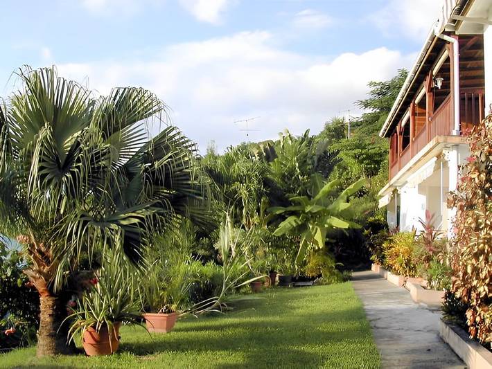 Gîte pour 3 personnes, avec jardin à Bouillante - 4