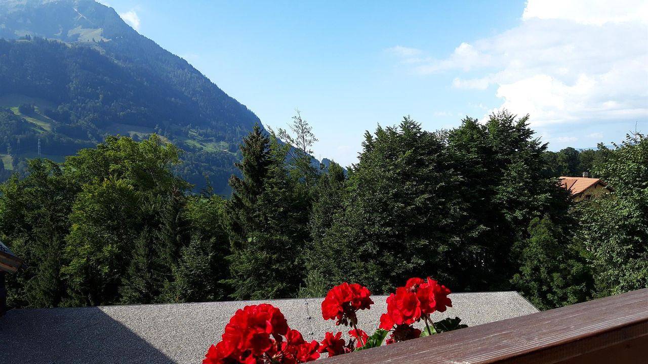 Ganze Ferienwohnung, Ferienwohnung für 4 Personen (125 m²) in Scharnachtal in Reichenbach im Kandertal, Frutigen - Lenk - Adelboden