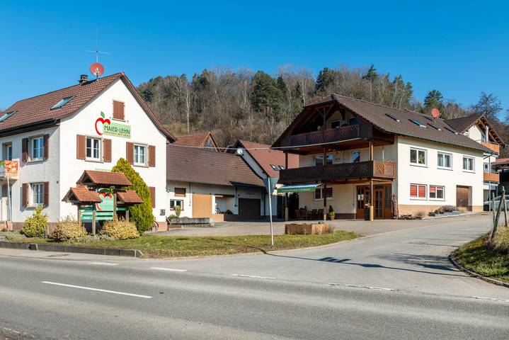 Ganze Wohnung, Ferienwohnung 'Baumkrone' mit Gemeinschaftsgarten, Balkon und Wi-Fi in Stockach, Landkreis Konstanz
