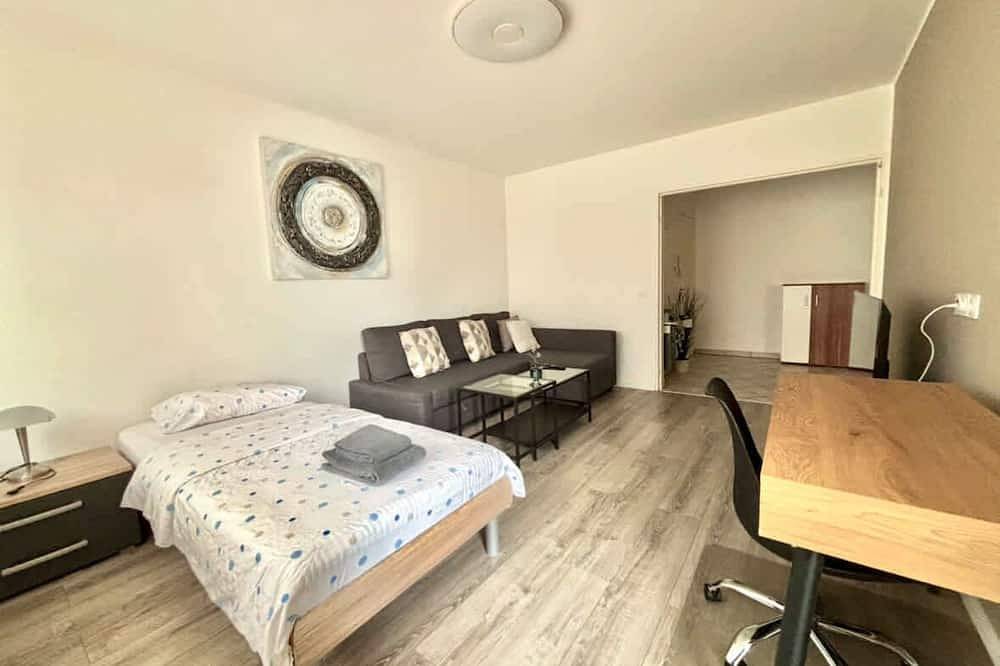 Entire apartment, Executive Apartment near Basel in Saint-Louis, Mulhouse region