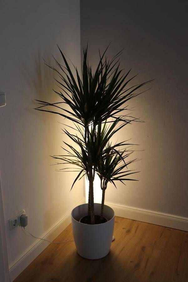 Ferienwohnung für 4 Personen, mit Ausblick und Garten in Ettal - 3