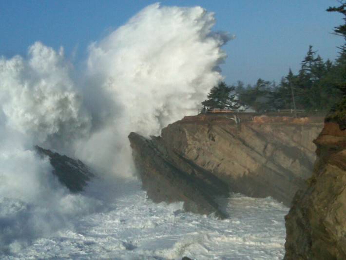 Cabin for 4 people, with terrace in Oregon Coast