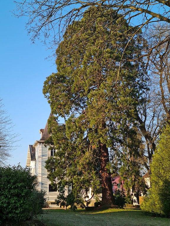 Chambre d’hôte pour 2 personnes, avec jardin dans les Vosges - 3