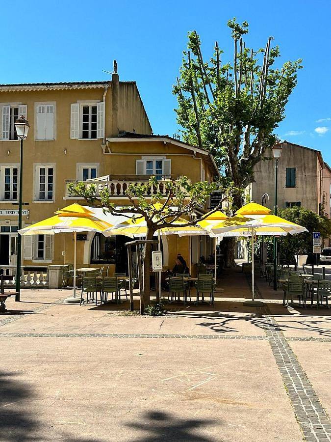 Hôtel pour 2 personnes, avec terrasse à La Roquebrussanne - 3