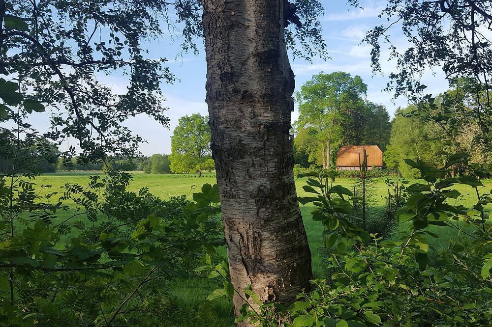 Ferienhaus für 2 Gäste mit 120m² in Rotenburg (Wümme in Rotenburg, Landkreis Rotenburg (Wümme)