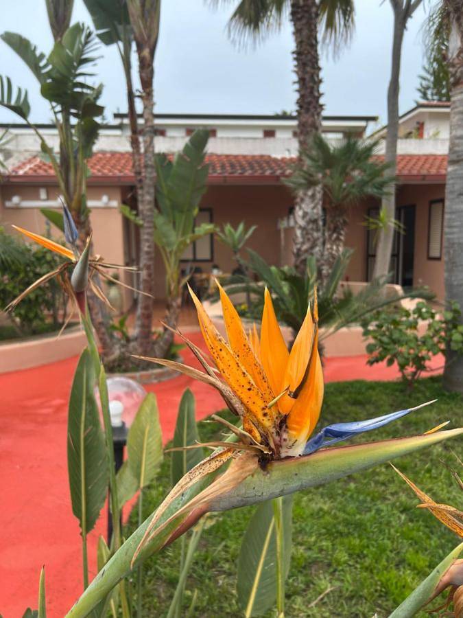 Apartamento de vacaciones para 4 personas, con jardín, Se admiten mascotas - 1
