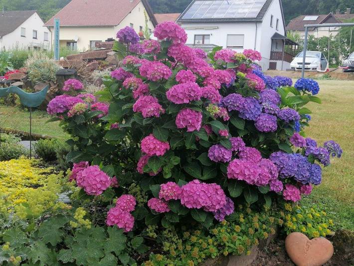 Ferienwohnung für 4 Personen, mit Garten im Saarland - 3