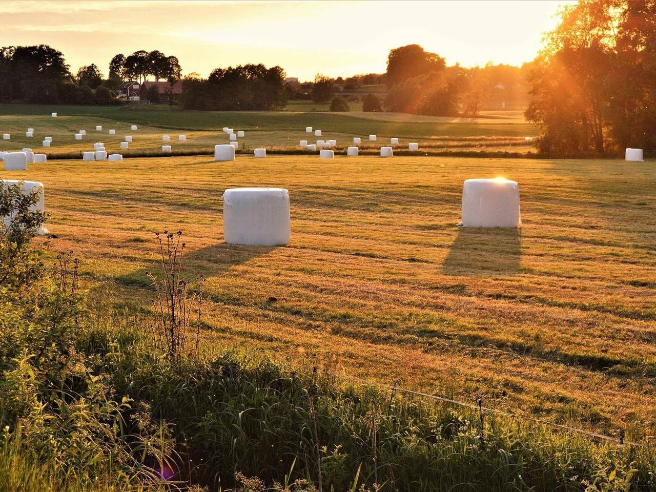 Holiday Home in Smaland Countryside in Jönköping County