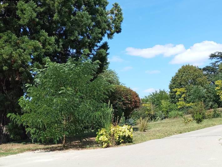 Location de vacances pour 2 personnes, avec jardin à Airvault - 2