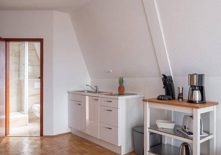 Ganzes Studio, Ferienhaus La Perla - "Apartment Seensucht" in Überlingen, Region Bodensee-Oberschwaben