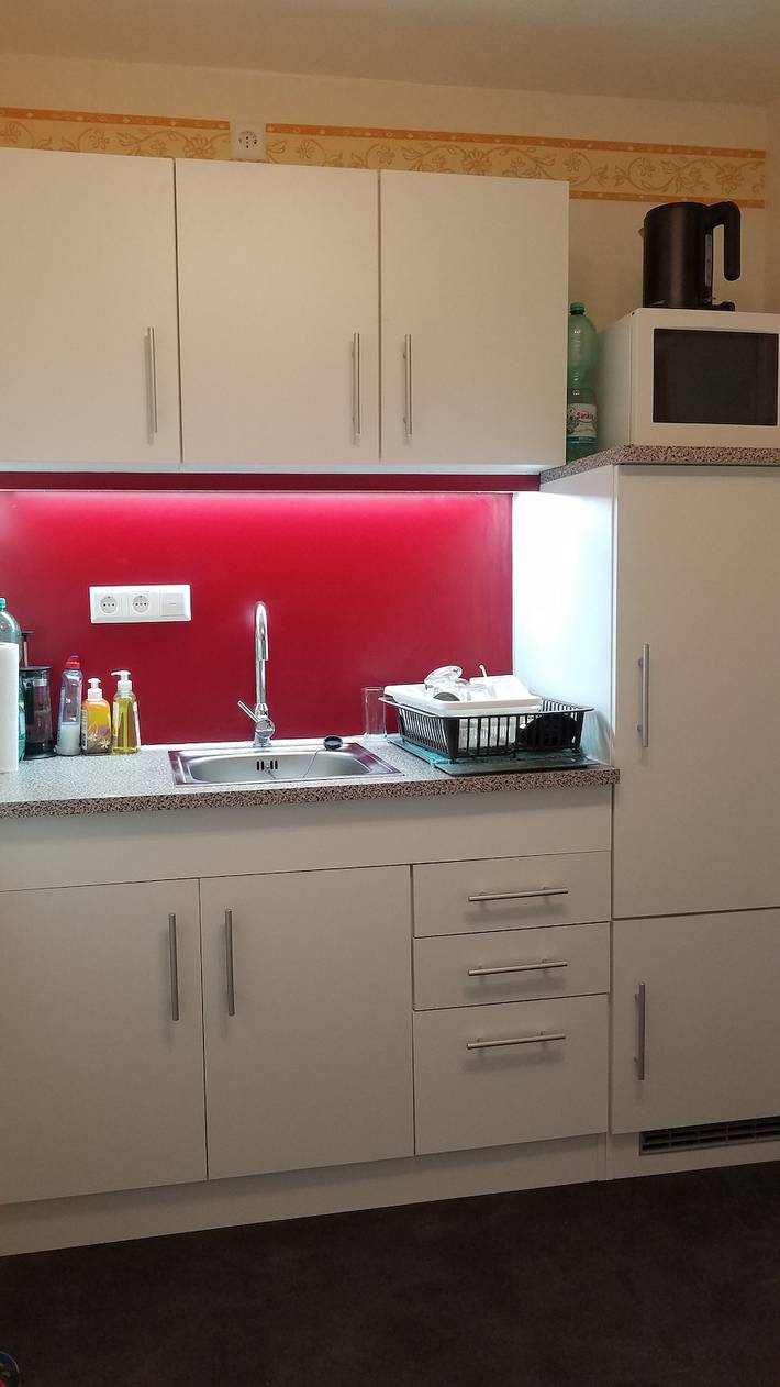 Studio für 2 Personen, mit Sauna und Balkon sowie Garten in Baiersbronn - 4