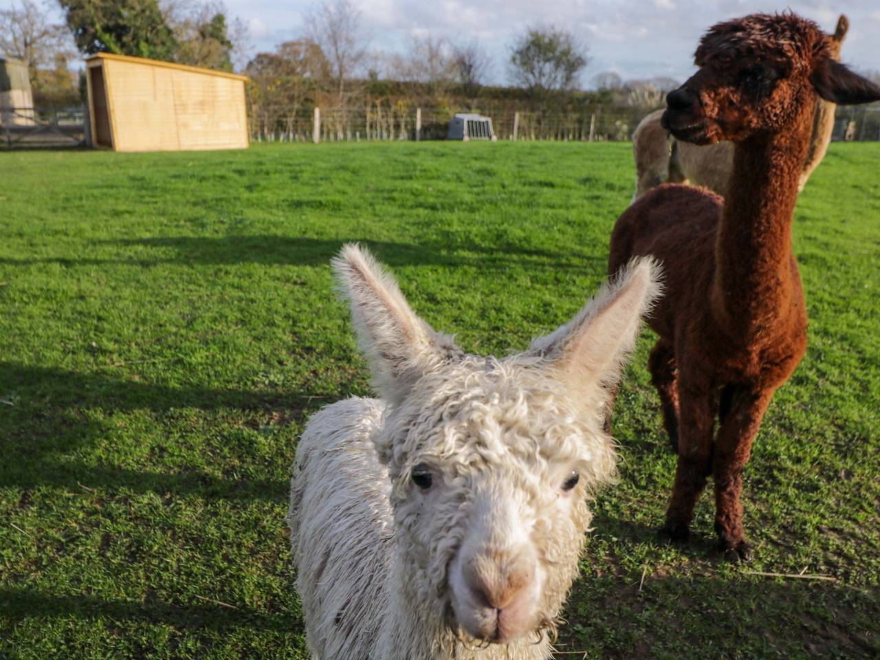 Wiltshire Weavers Hut in Wiltshire