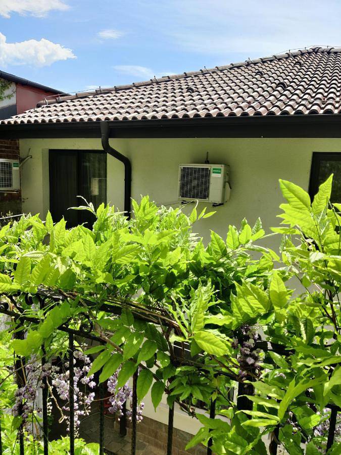 Deluxe Double Room with Balcony in Sopot (Bulgarie), Balkan Mountains