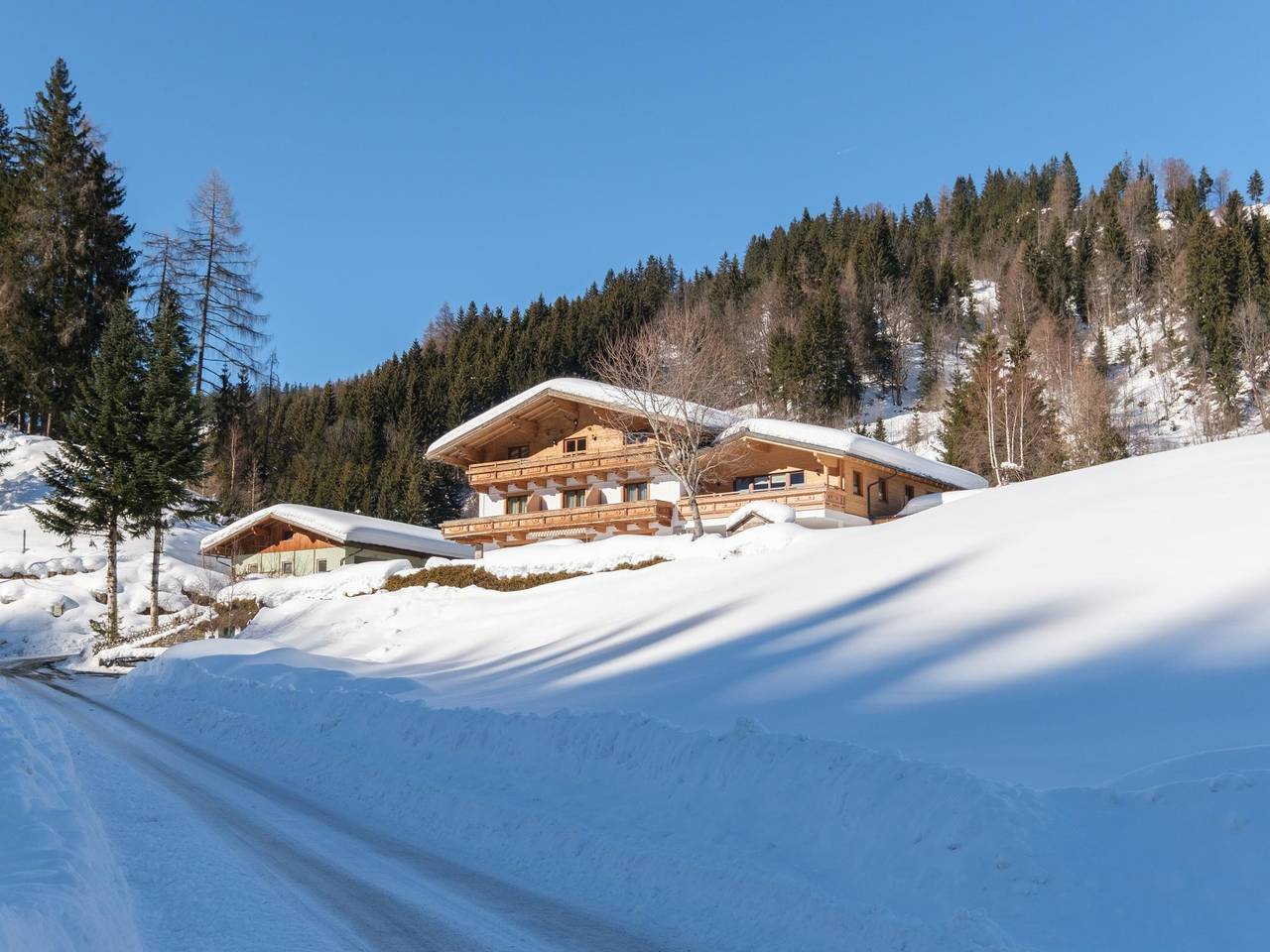 Ganze Wohnung, Haustierfreundliche Wohnung in sonniger Lage in Radstadt, Ski Amadé