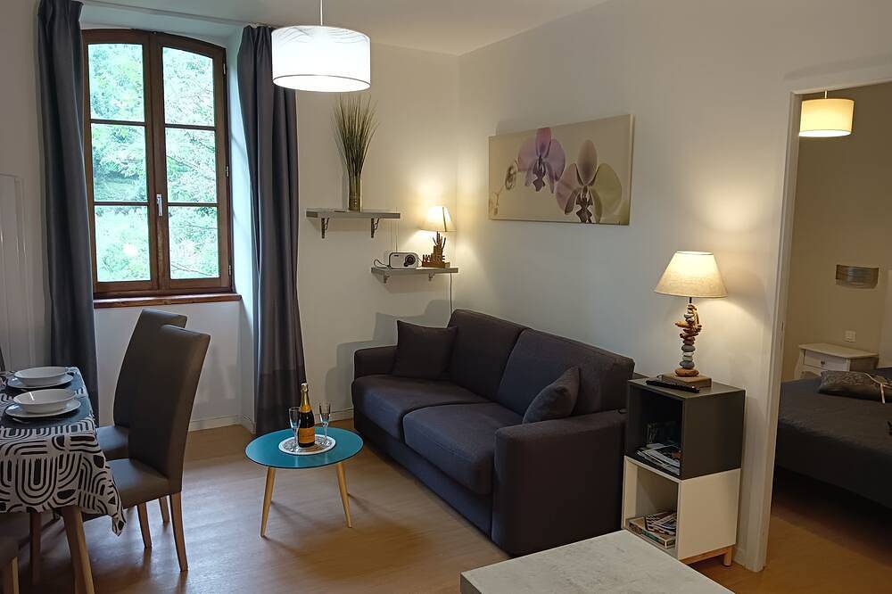 Entire apartment, Large T2 La Marmotte, Aulus-les-Bains, hiking, spa treatments in Aulus-les-Bains, Parc naturel régional des Pyrénées ariégeoises