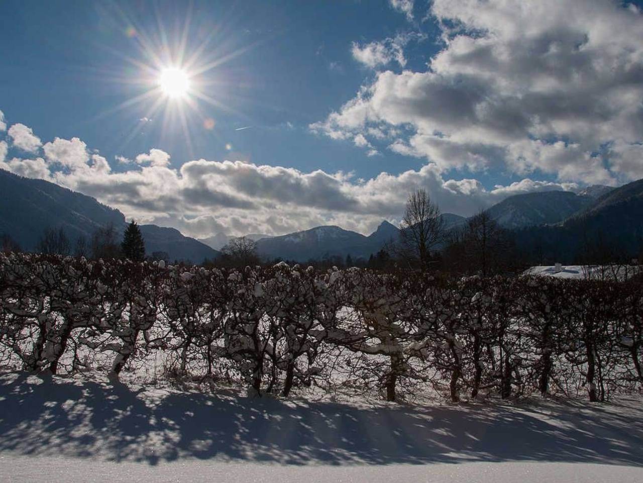 Gästehaus Florian - Einzelzimmer 7 in Bayerische Alpen
