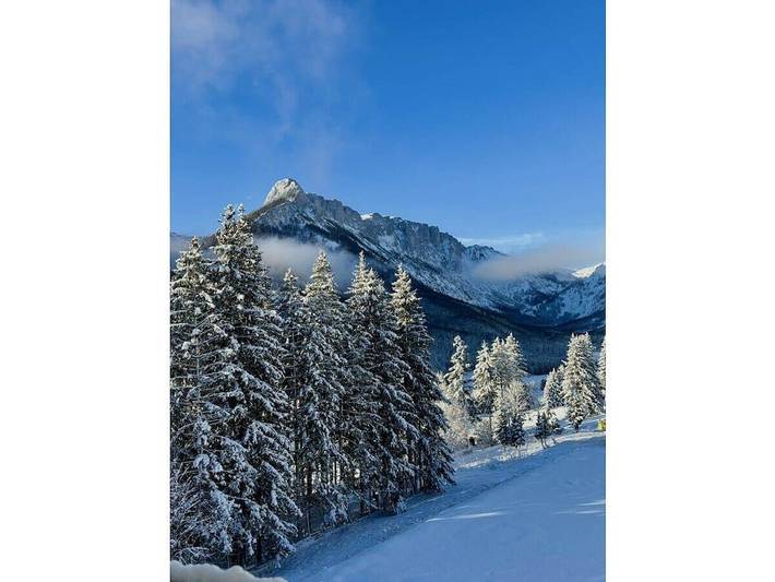 Ferienhaus für 36 Personen, mit Balkon in Hochsteiermark - 4