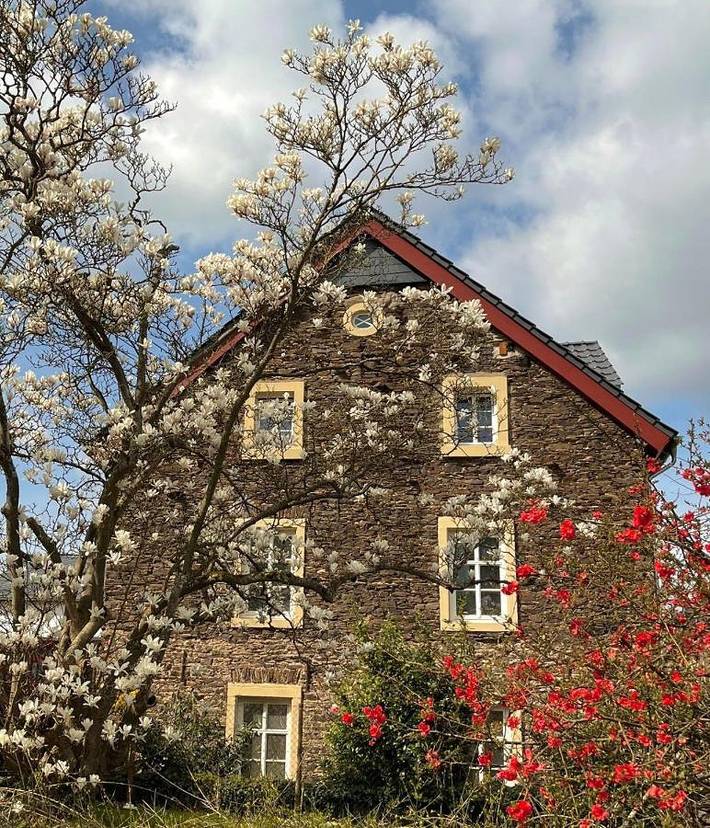 Villa für 4 Personen, mit Terrasse und Garten in Graach an der Mosel