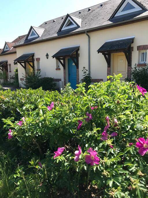 Appartement entier, Cottage Golf-Balnéades-Zenith-Comet 1-4 pers et bébé in Ardon, Sologne
