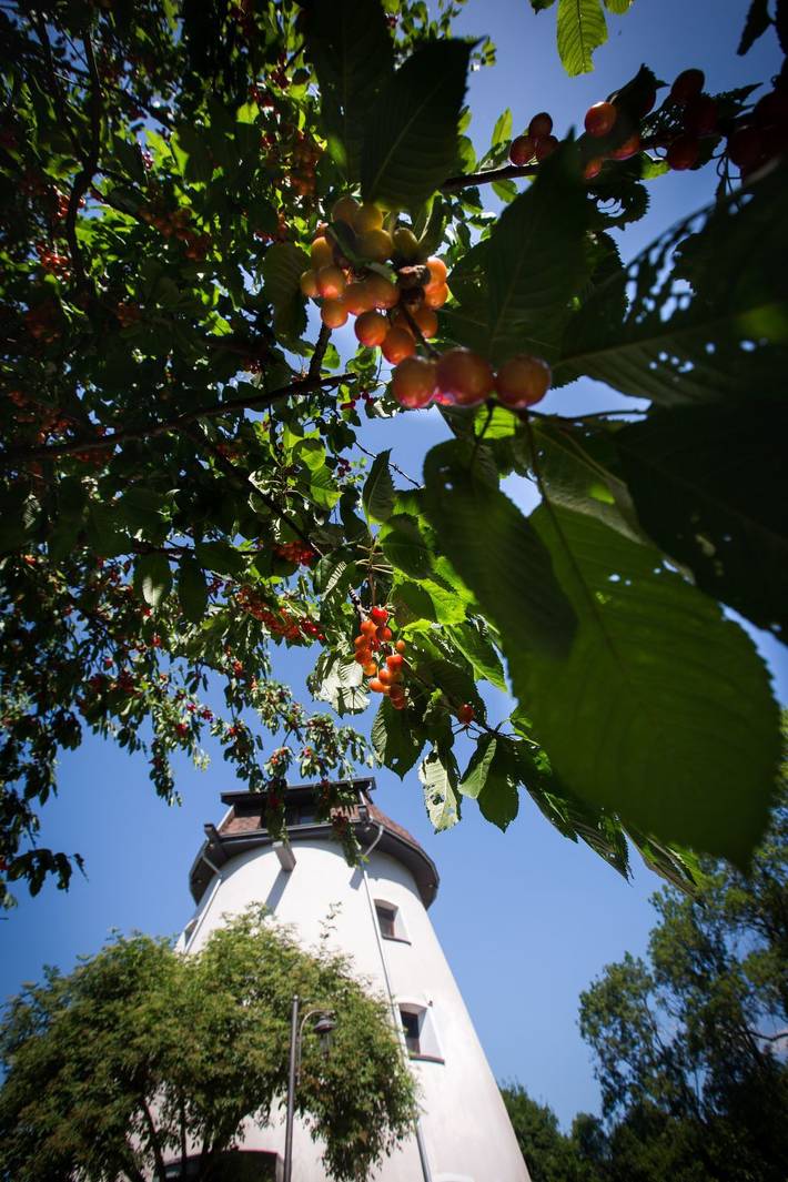 Ferienhaus für 10 Personen, mit Garten in den Masuren - 2