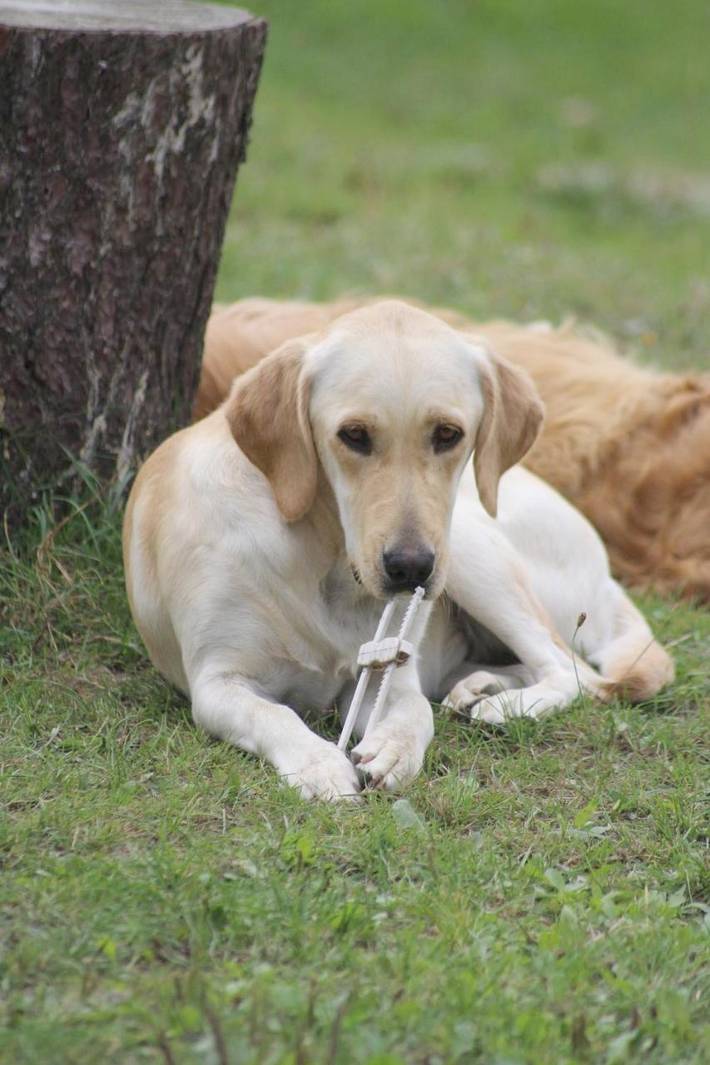 Location de vacances pour 4 personnes, avec vue ainsi que balcon et jardin à Sulniac - 3