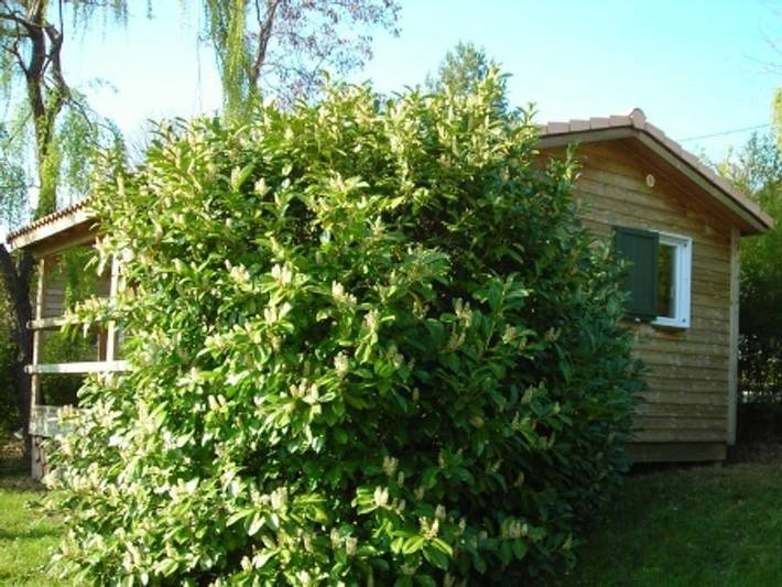 Gîte pour 5 personnes, avec bassin pour enfant, animaux acceptés à Darbres - 2