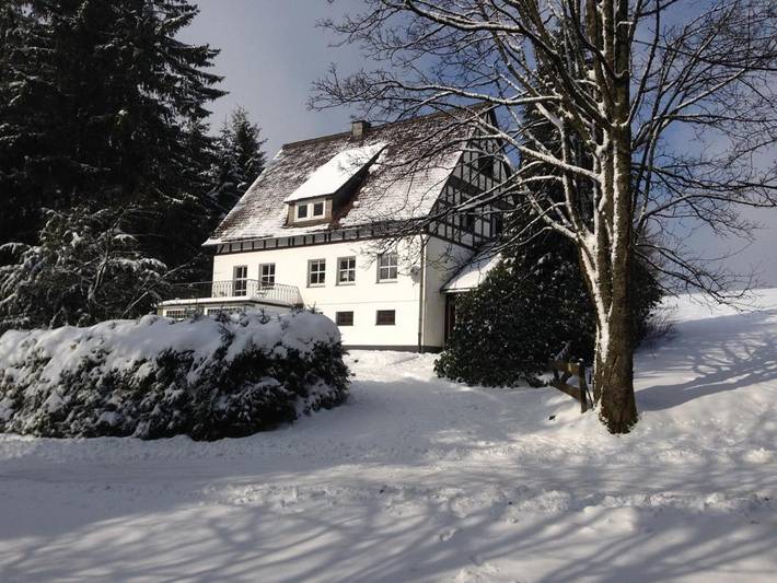 Villa für 12 Personen, mit Balkon und Terrasse sowie Garten und Ausblick in Winterberg - 2