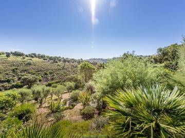 Villa pour 6 Personnes dans Roquebrune-sur-Argens, Région de Draguignan, Photo 3