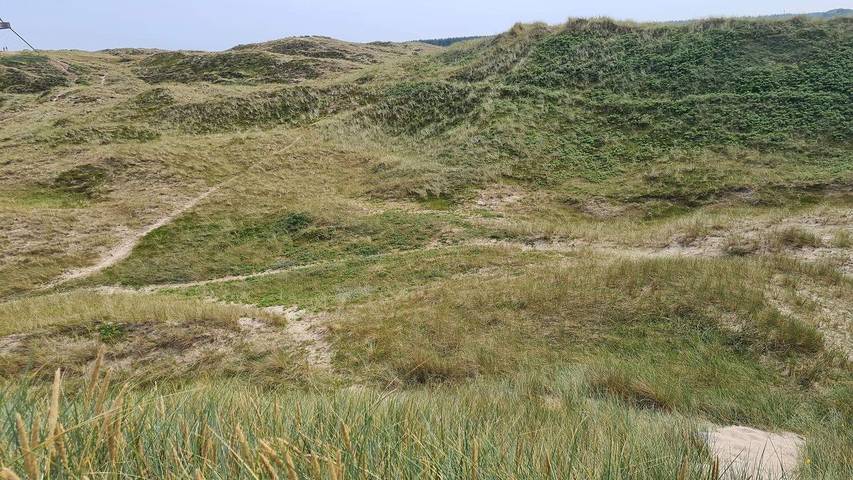 Ferienhaus für 5 Personen, mit Garten in Nordostjütland - 4