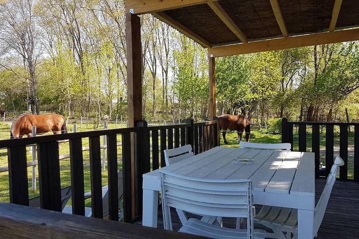 Mobil home pour 4 personnes à Le Cailar - 4