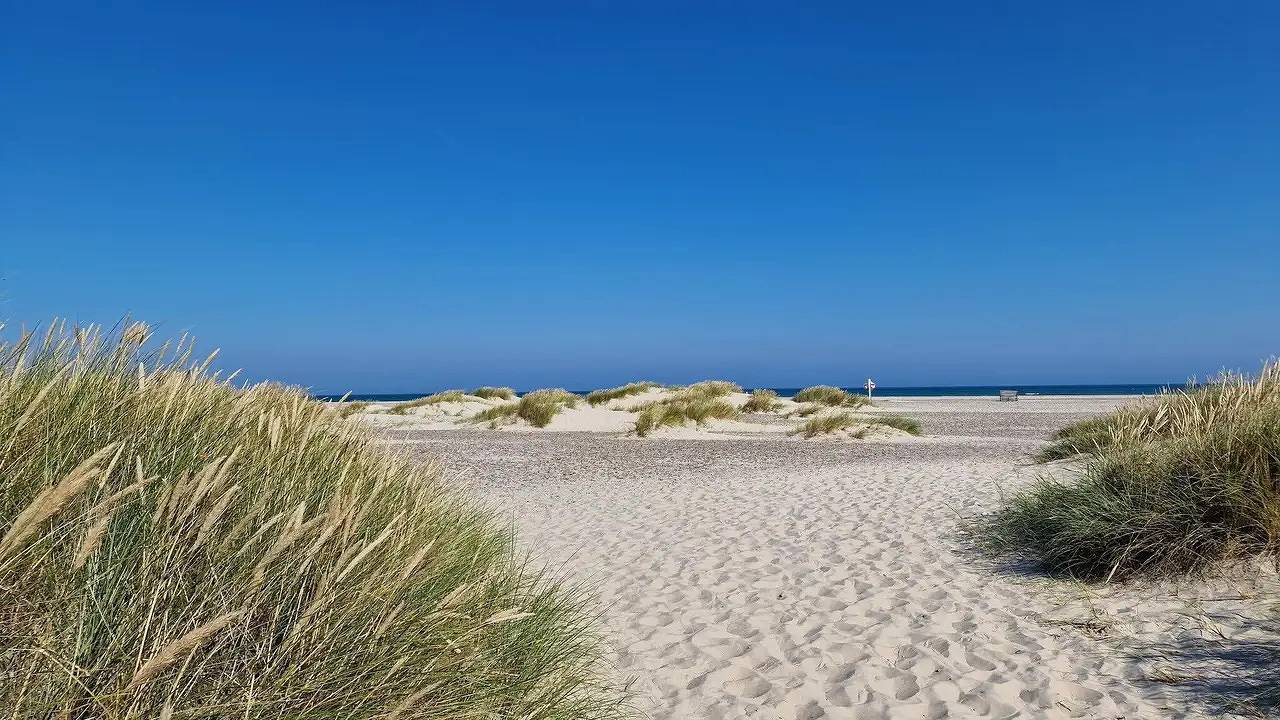 Ferienhaus für 5 Personen (135 m²) in Skagen in Skagen, Tannisbucht