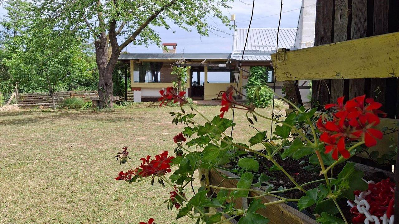 Ferienhaus für 6 Personen (103 m²) in Erdut in Osijek-Baranja