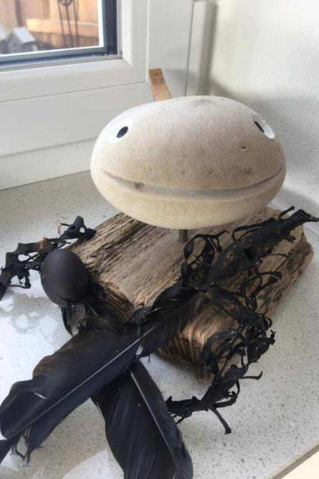 Ganze Wohnung, Ruhige Wohnung in Risum mit Garten und Terrasse in Risum-Lindholm, Nordseeküste