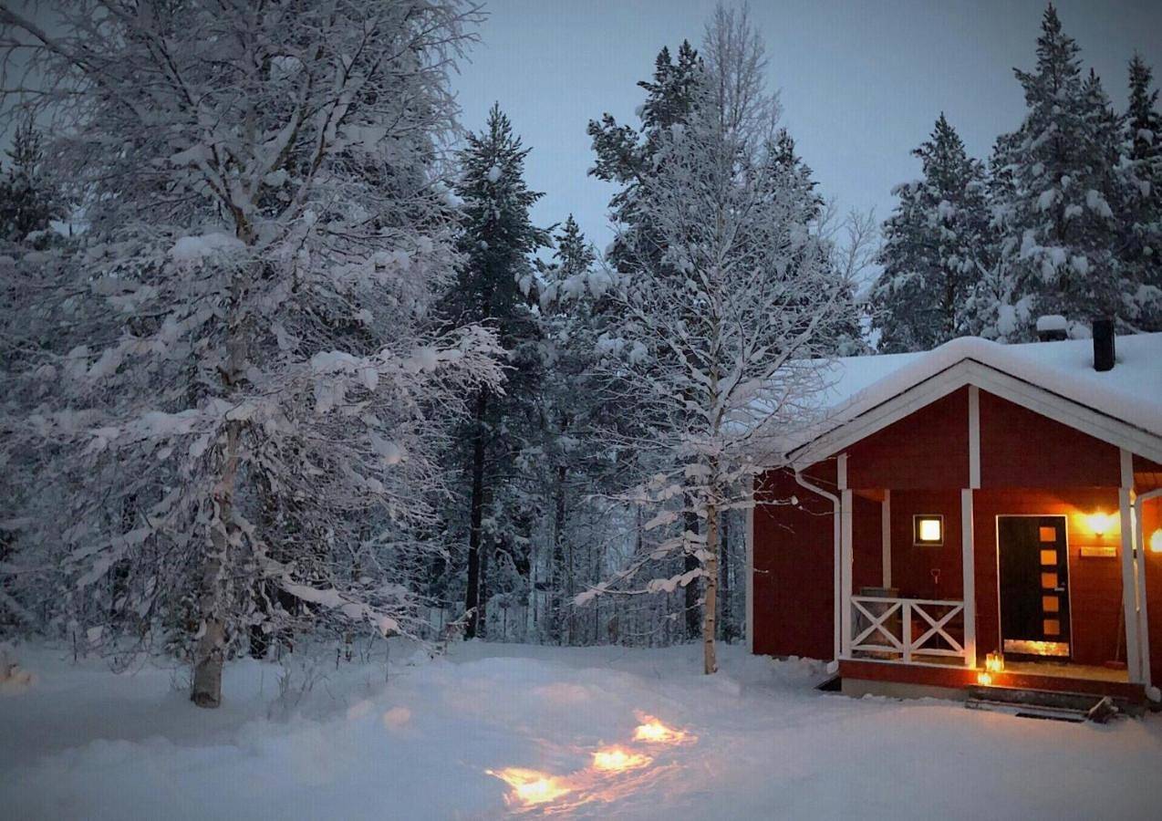 Kuosto ja Luppo in Kaulavaara, Laponie