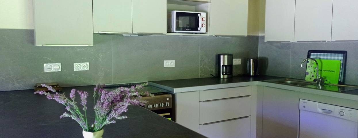 Gîte pour 14 personnes, avec terrasse et jardin, animaux acceptés dans Lac de Génos-Loudenvielle - 2