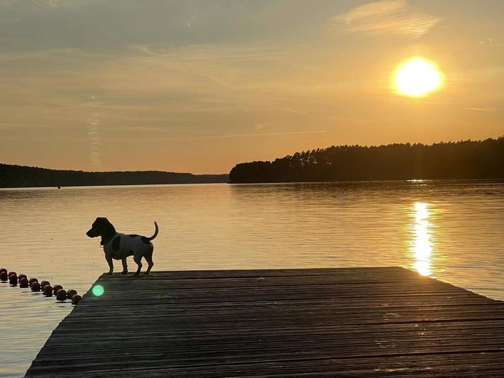 Tente pour 4 personnes, avec jardin ainsi que vue et vue sur le lac en Pologne - 2