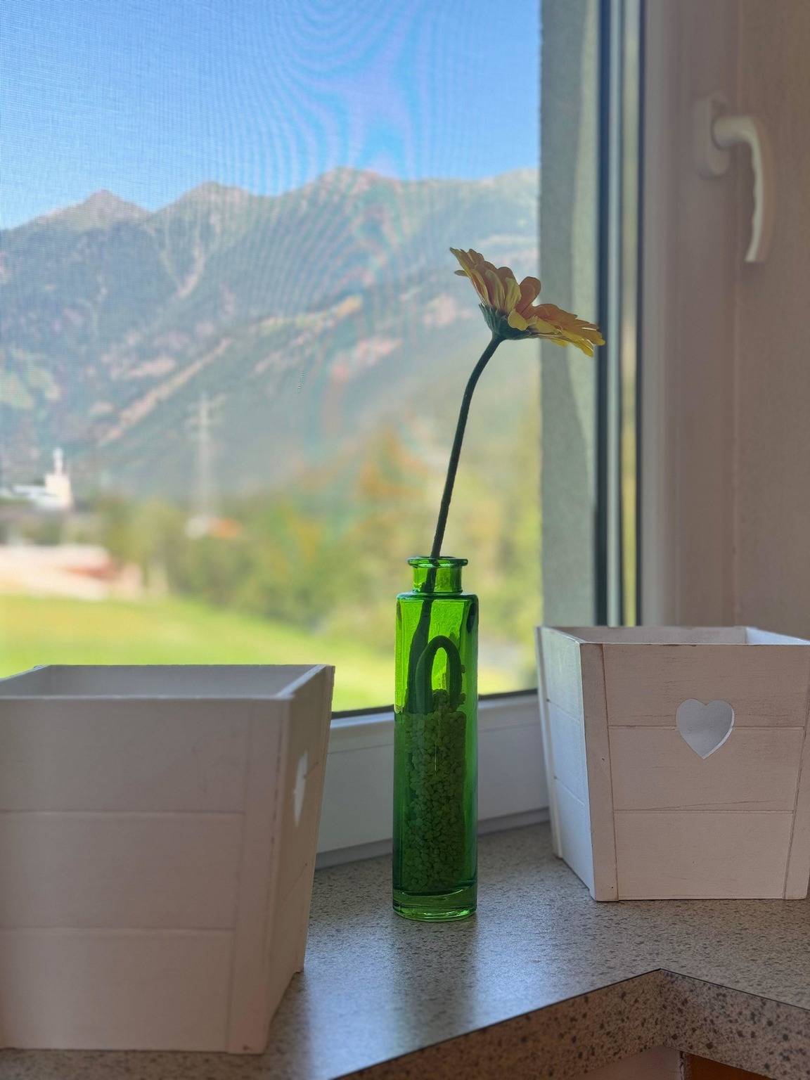 Ganze Ferienwohnung, Direkt am Fluss und im Mölltal! Ferienwohnung - Die Möll in Stall, Bezirk Spittal an der Drau
