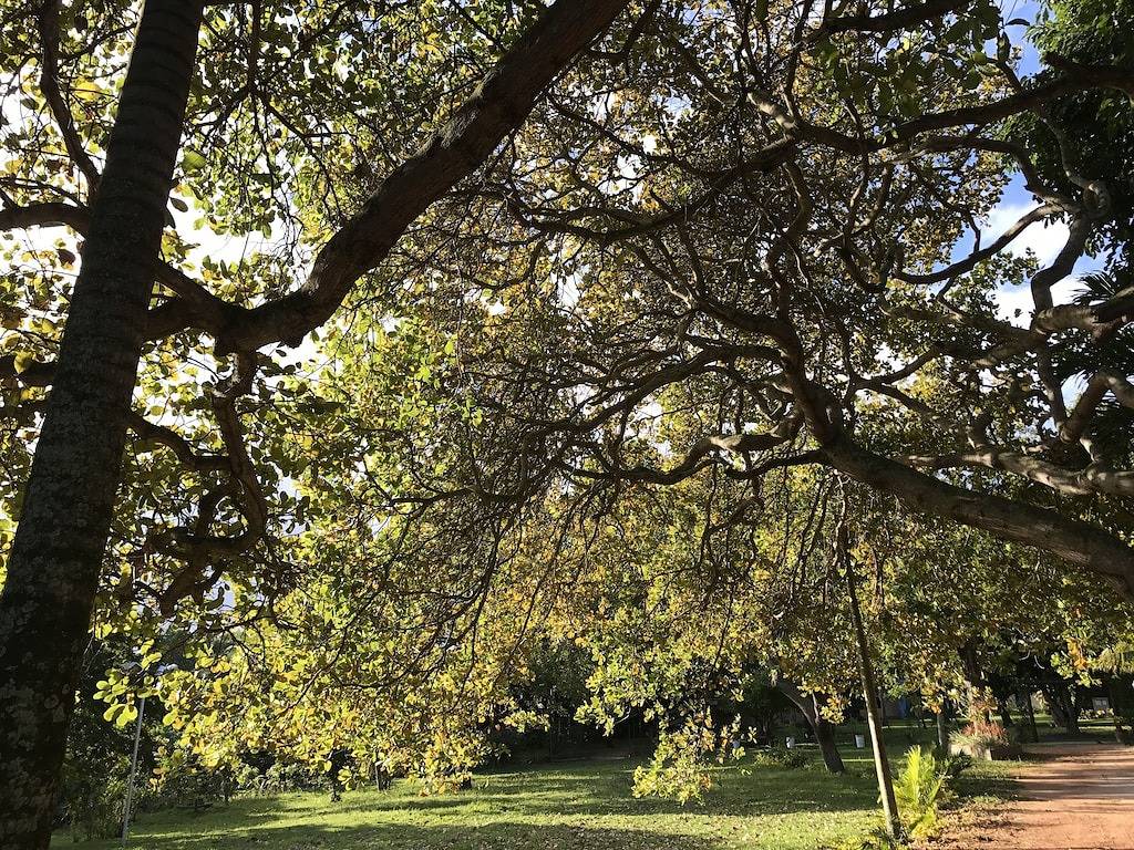 Passárgada Site - 6 Suiten - Tagespreis für 23 Personen in Camaçari, Linha Verde