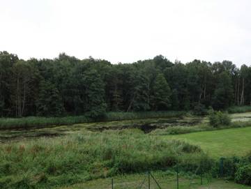 Bauernhof für 4 Personen in Graal-Müritz, Mecklenburgische Ostseeküste, Bild 4