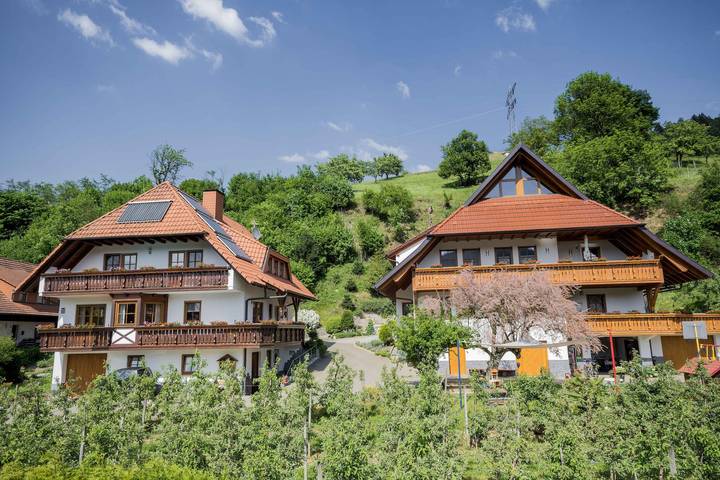 Entire apartment, Apartment 'Hirschblick' with Mountain View, Shared Terrace and Wi-Fi in Haslach im Kinzigtal, Kinzig Valley