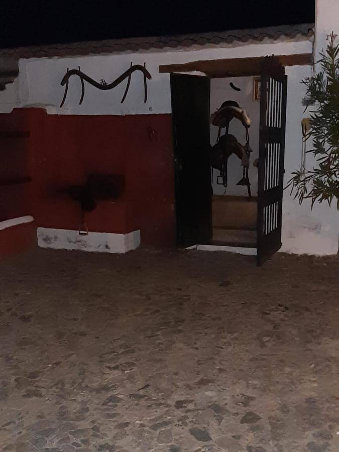 Casa rural para 5 personas, con Terraza en Jerez de los Caballeros - 4