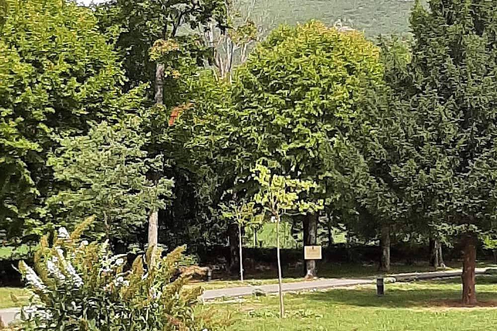 Château des Gipieres,à côté des thermes de Montbun, et du centre bien être. <br> in Montbrun-les-Bains, Région de nyons