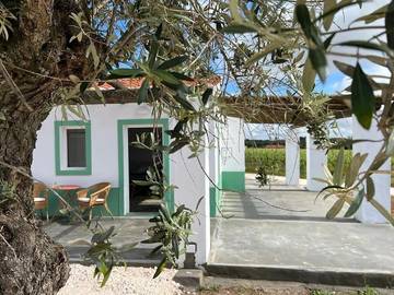Gîte pour 12 personnes, avec jardin ainsi que vue et piscine à Borba