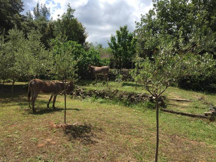 Location de vacances pour 2 personnes, avec jardin et vue à Pourcieux - 4