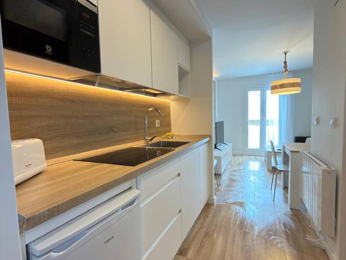 Ganze Wohnung, Renoviertes Bergstudio in Candanchú für 4 Pers. in Candanchú, Aisa