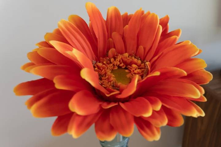 Vacation rental for 8 people, with terrace and yard in Jacksonville