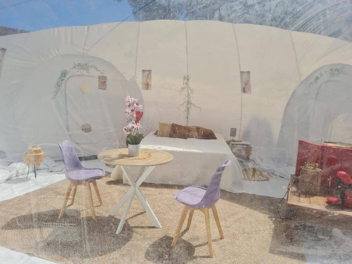 Dormir dans une bulle Grandiose, avec Spa, la tête dans les étoiles in Six-Fours-les-Plages, Côte méditerranéenne (France)