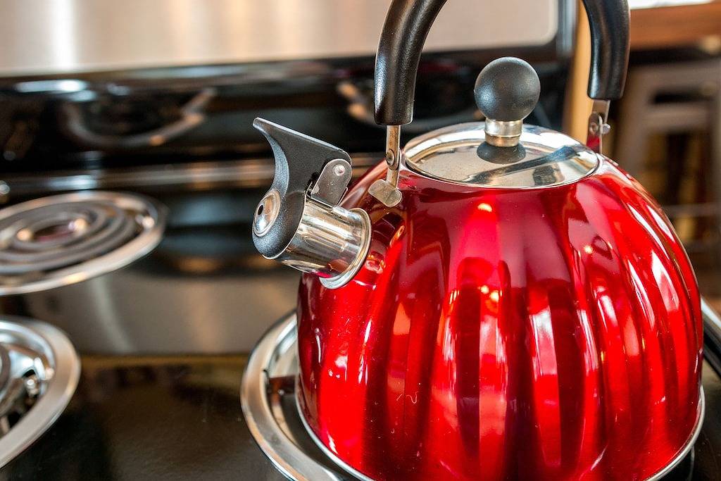 Abenteuer in der Wildnis! Genießen Sie die Innensauna! Buchen Sie eine kleine oder große Gruppe! in Matanuska-Susitna