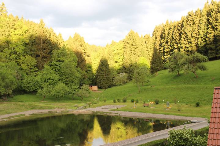 Ferienwohnung für 4 Personen, mit Seeblick und Balkon/Terrasse sowie Balkon am Rennsteig - 2
